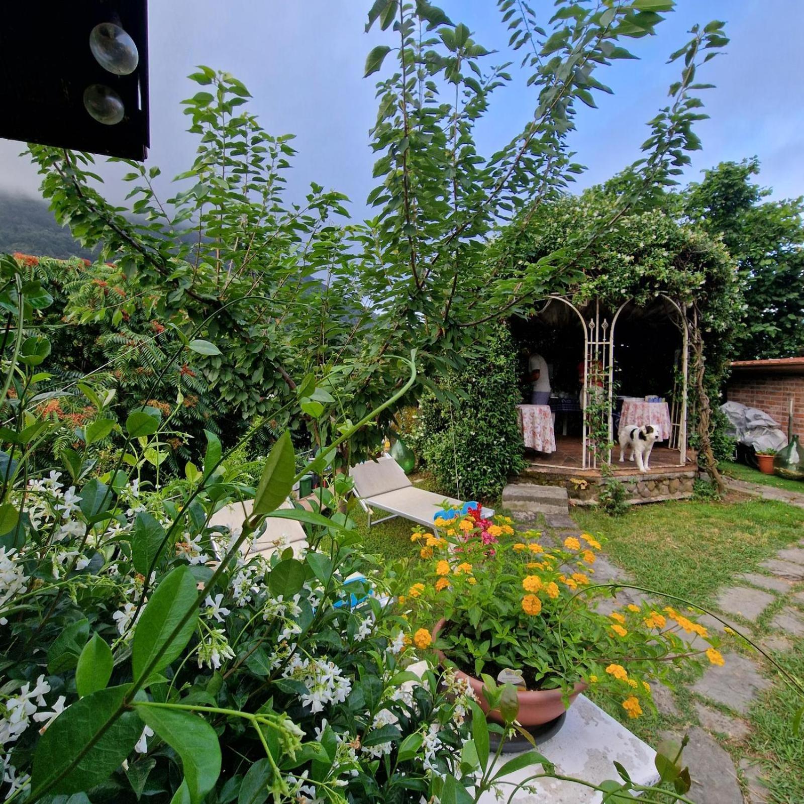 Jasmine Cottage Luni Eksteriør billede